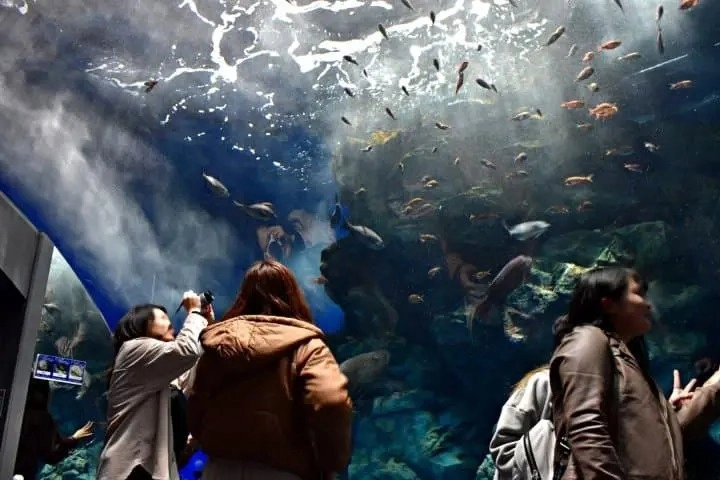 2024년 후쿠오카 여행 코스 추천 시내 시외 쇼핑 여행 코스