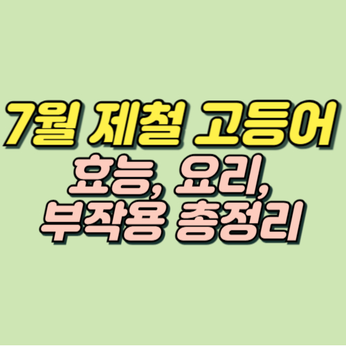 7월 제철 고등어