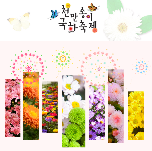 2024 익산 천만송이 국화축제