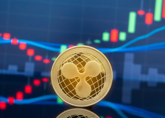 리플(XRP) 2024년 가격 분석 상승 요인과 리스크 정리