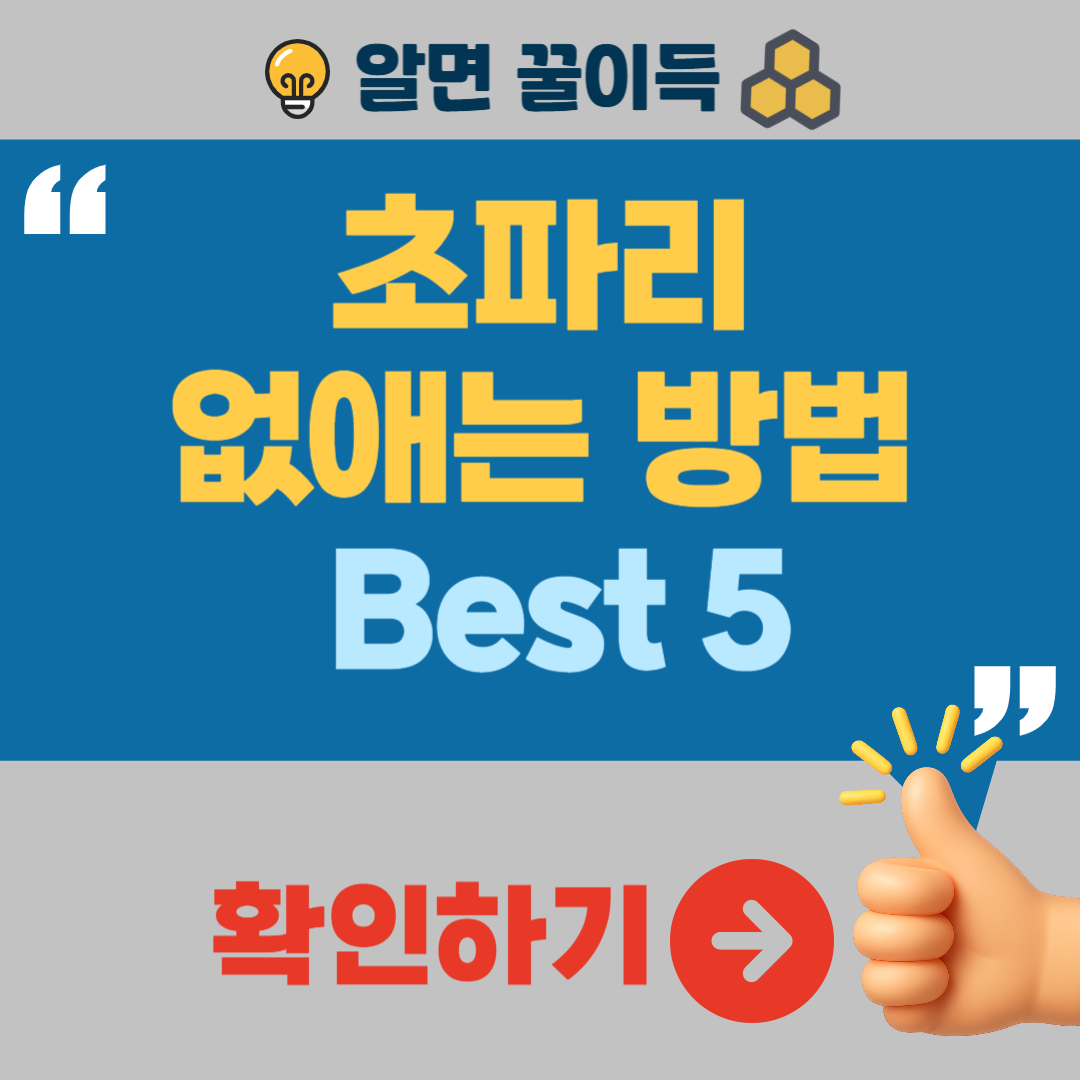 초파리 없애는 방법 퇴치법 생기는 이유 박멸 노하우