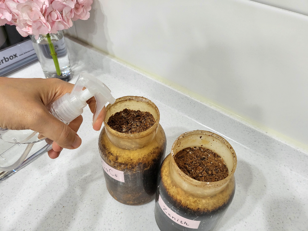 버섯키트 물주기