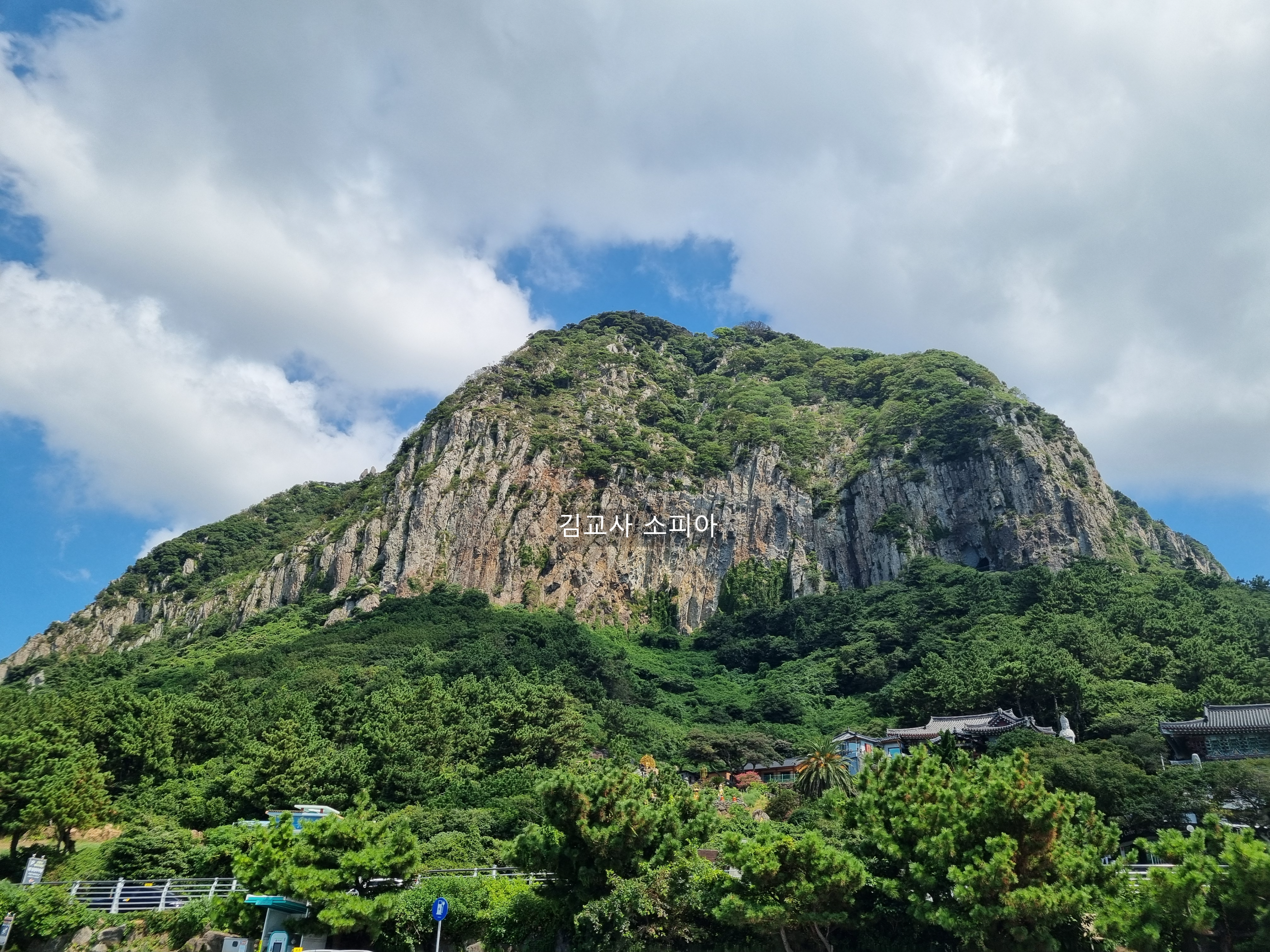 ✈️ 제주 서귀포 산방산 맛집&amp;#44; 순천미향 갈치조림[내돈내산]