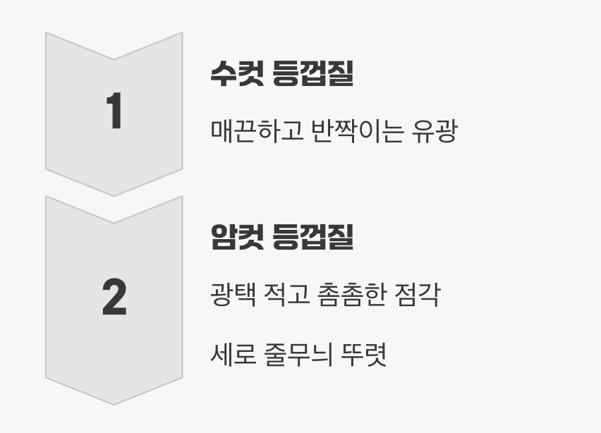 미묘한 차이&amp;#44; 몸의 &amp;#39;광택&amp;#39;과 &amp;#39;점각&amp;#39;