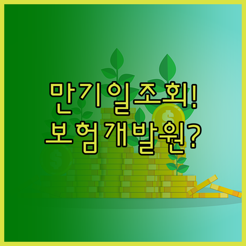 자동차보험 만기일 조회 보험개발원부터..