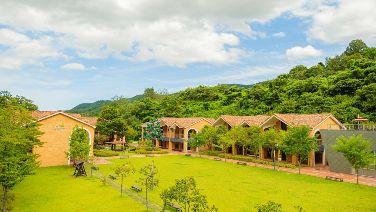 동해 무릉 건강 숲