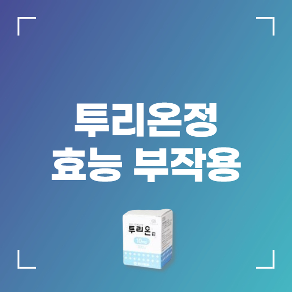 투리온정 효능 복용법 부작용