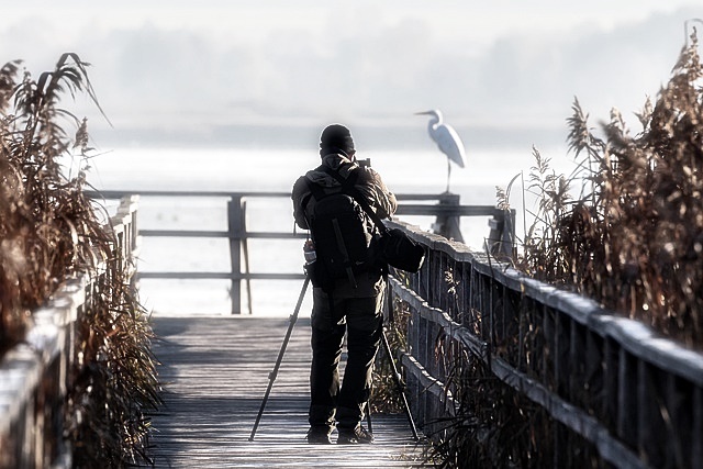 포토스케이프X 다운로드