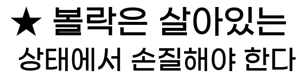  ★ 볼락은 살아있는 상태에서 손질해야 한다