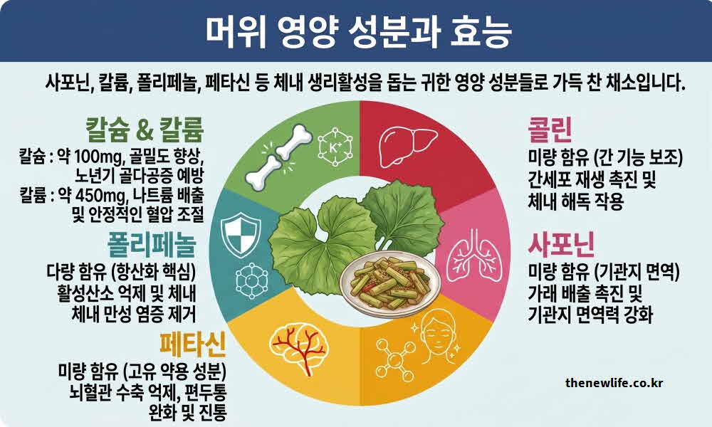 머위 효능 영양성분