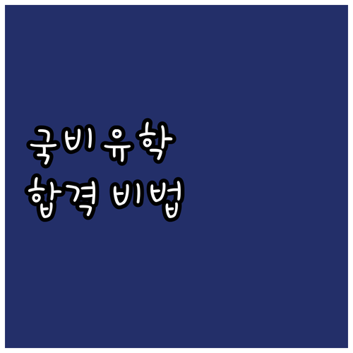 2025 국비유학생: 기회, 자격 조..