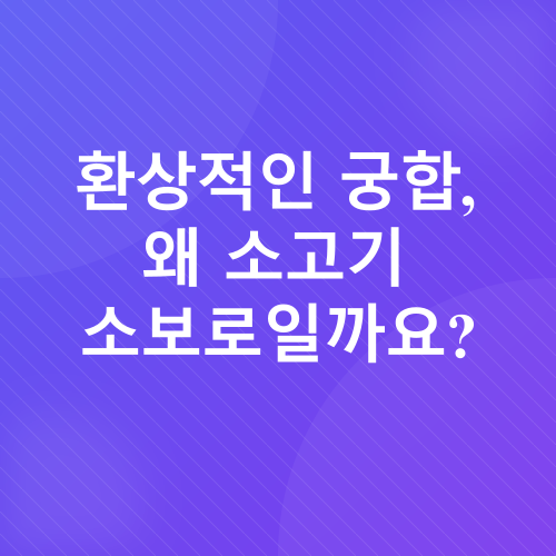 다진 소고기 요리_1