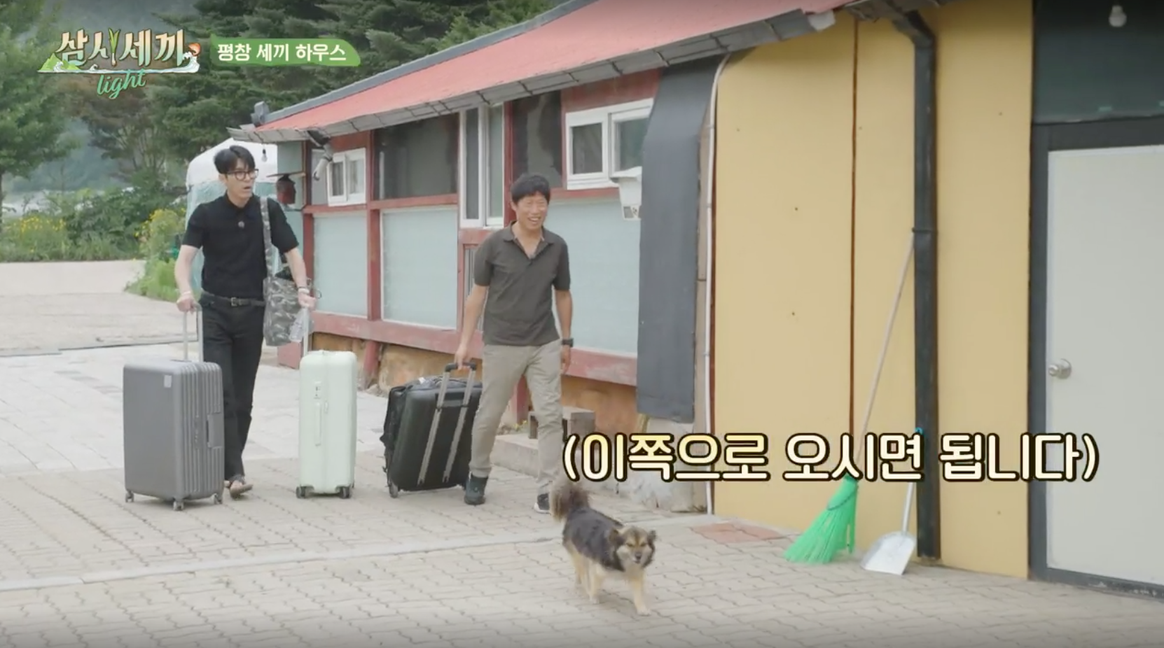 삼시세끼 라이트