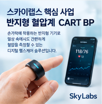 스카이랩스 주가 공시와 기업정보 확인 홈페이지