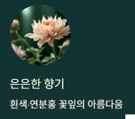 가을꽃 종류 5가지