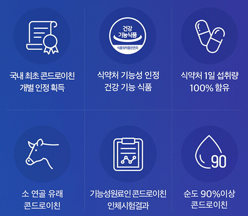 콘드로이친