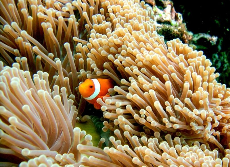 인도네시아 발리 여행