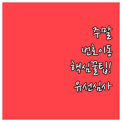 알뜰폰 번호이동 온라인 주말 신청 방..