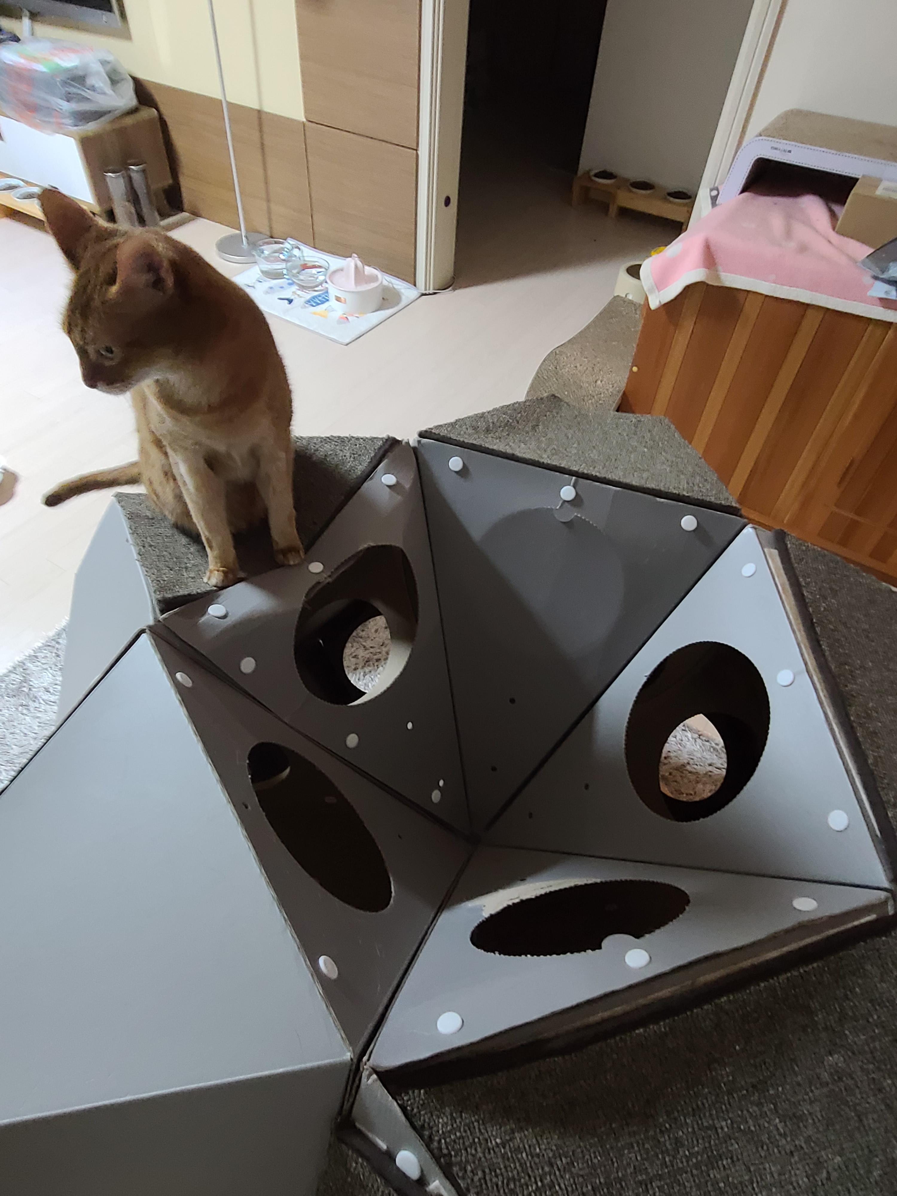 어서와~ 캣미로 루프탑은 처음이지?