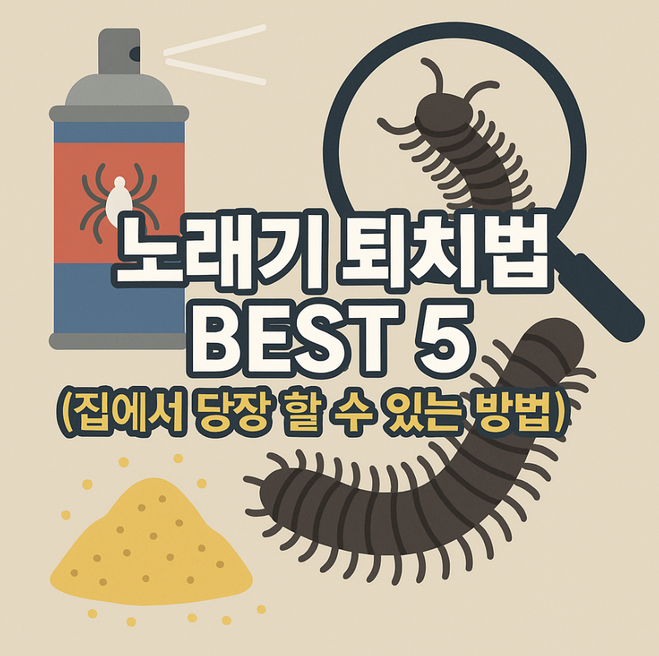 노래기 퇴치법 BEST 5 (집에서 당장 할 수 있는 방법)