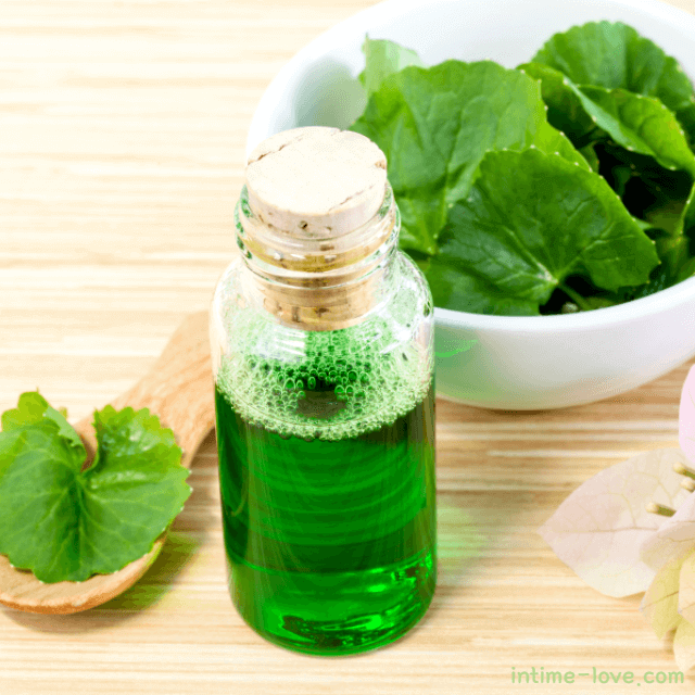 병풀 추출물 효능