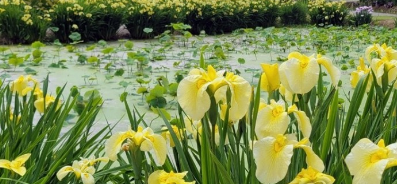 태안 청산수목원 여행지