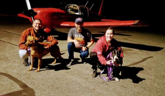 유기견 구조 파일럿 석 김(Seuk Kim)