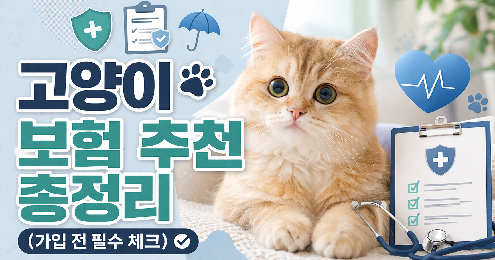 고양이 보험