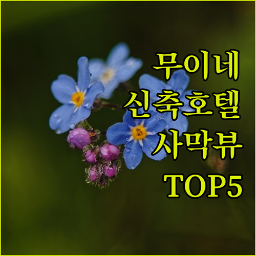붉은 사막과 바다 사이 완벽한 하룻밤..