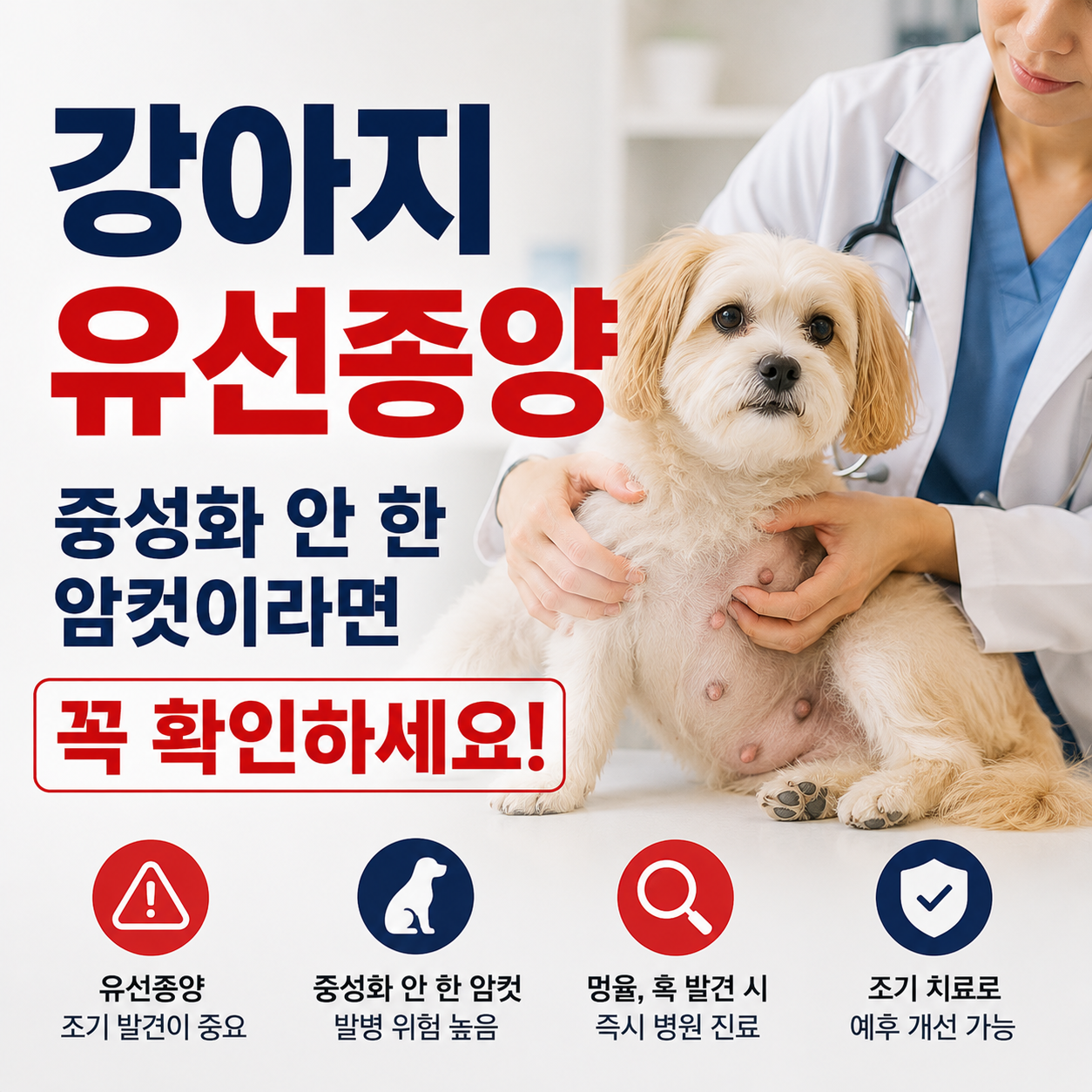 강아지 유선종양