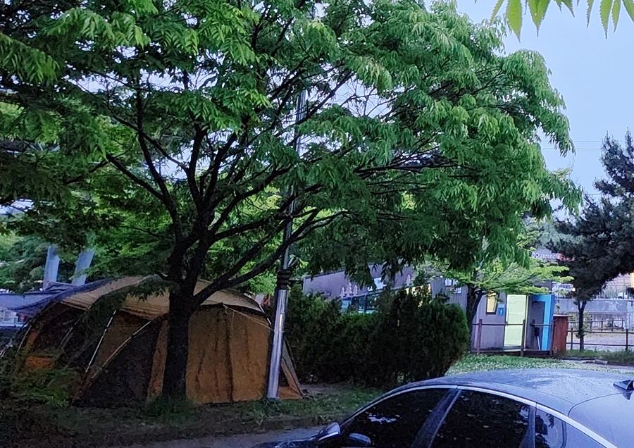 대형텐트를 친 H사이트