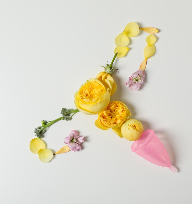 여성암 무료검진