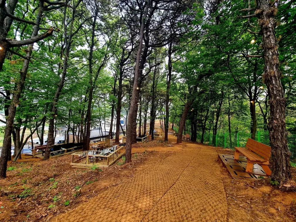 김포 라데아 카페: 깔끔한 감성과 야외 숲 정원의 편안함