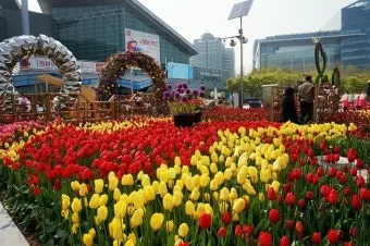 2025 고양국제꽃박람회 일정 사전예약 할인_22