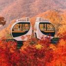 화담숲 예약하기