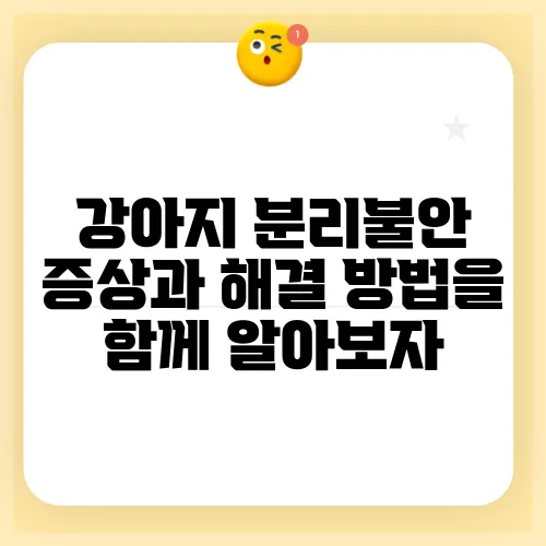 강아지 분리불안 증상과 해결 방법을 함께 알아보자