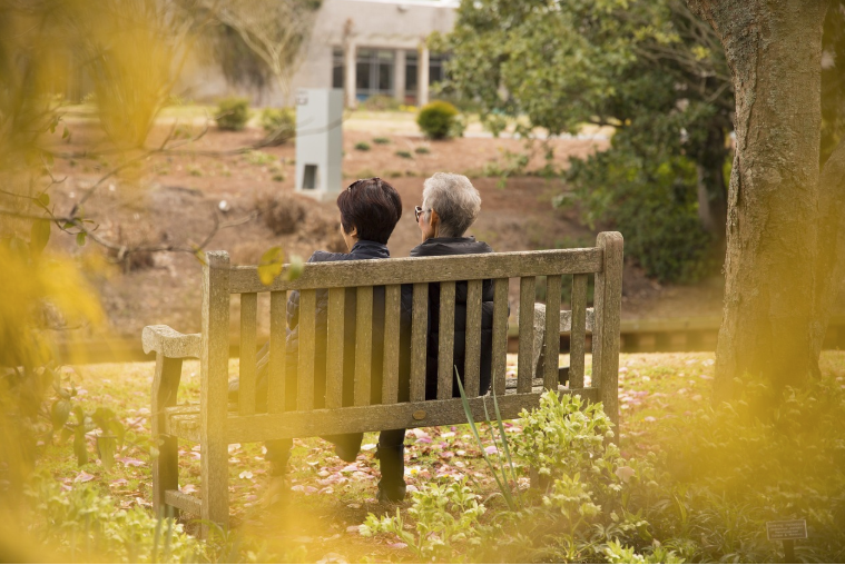 치매 초기 증상과 관리법