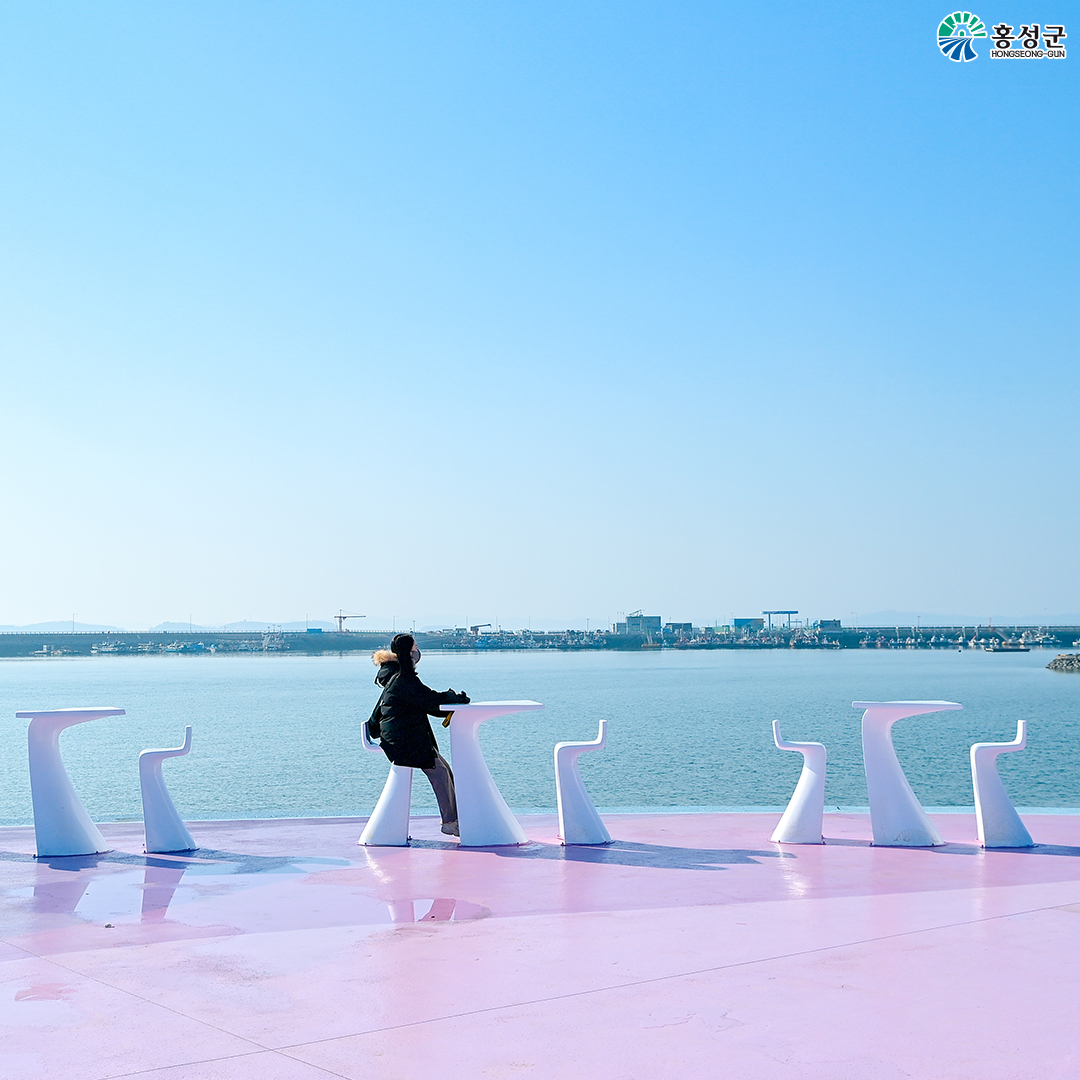  홍성남당함 새조개 축제 구매 방법