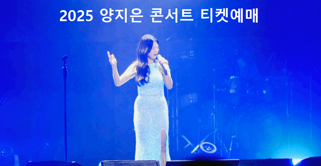 양지은콘서트