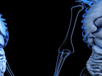 표고버섯 효능 사진14