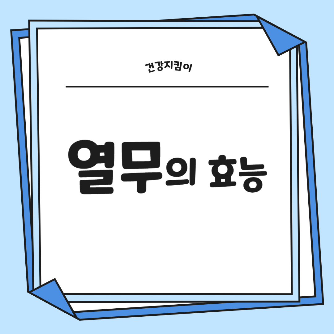 열무 효능 부작용 고르는법 칼로리