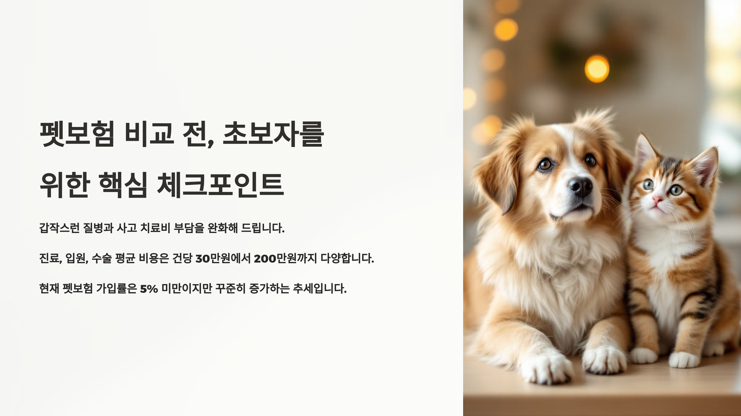 펫보험 비교 전, 초보자를 위한 핵심 체크포인트