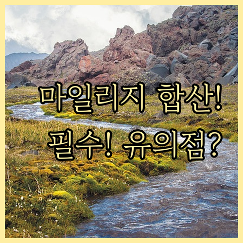 아시아나 마일리지 합산 사용 규정과 ..