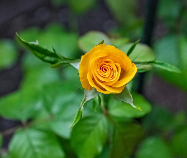 기부금 영수증&amp;#44; 연말정산 세액 공제&amp;#44; 기부단체