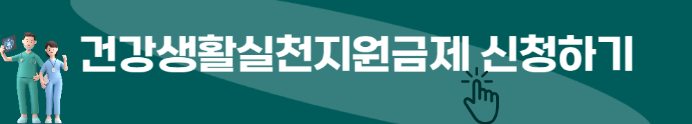 건강생활실천지원금제 1