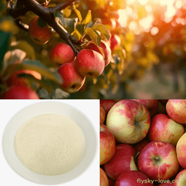 아누카 사과(Annurca apple) 분말