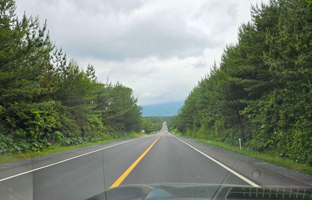 이승악 오름 가는길