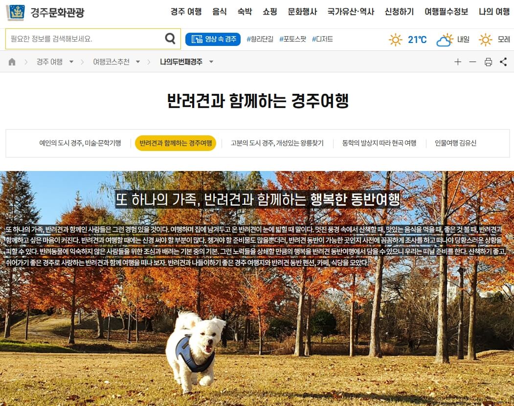 반려견과 함께하는 국내 여행지 Best 10