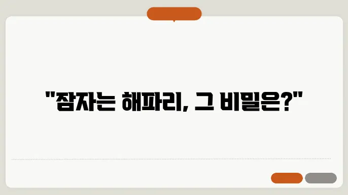 해파리 수면법