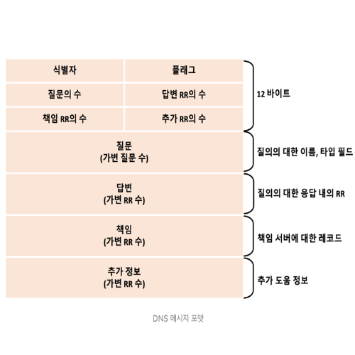 DNS 메세지 포맷